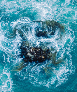 Turbulent waters viewed from above. Rocks and seaweed give the appearance of a face in the water.