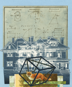 A multimedia collage featuring a fox trapped in a transparent cube. The background is layered with pieces of paper, the blueprint of a house, and geometric diagrams.